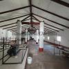 Nave para Celebraciones o Proyecto Residencial en Pago Humo, Chiclana de la Frontera